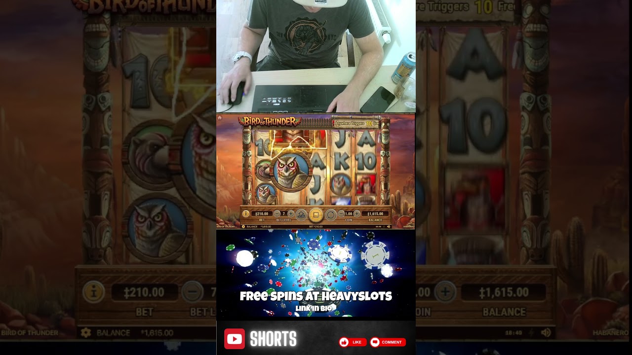 🎰 Bird of Thunder Slot online animals ancient theme #slots #fun