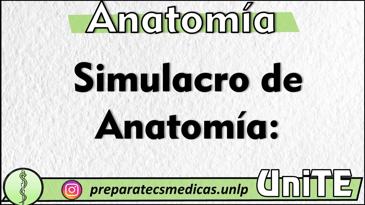 Simulacro Anatomía - Miembro Superior