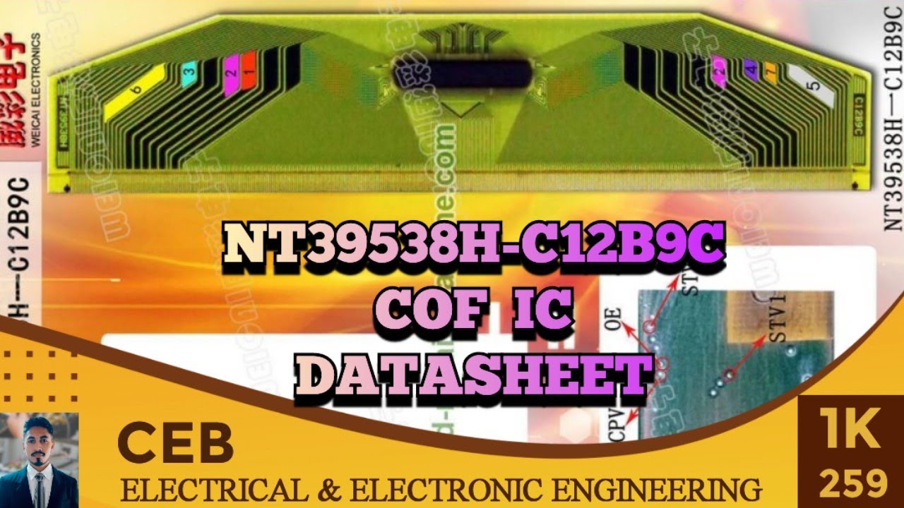 NT39538H-C12B9C Panel Cof ic datasheet | NT39538H-C12B9C COF / TAB