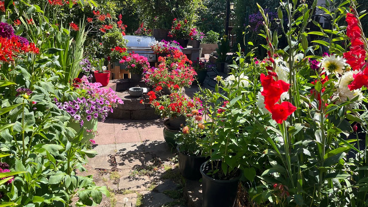 Tour por mi jardín lleno de flores