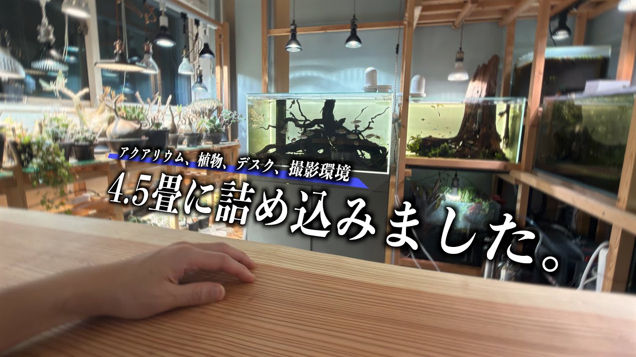 【ルームツアー】4.5畳の趣味部屋を余すことなく使い倒す