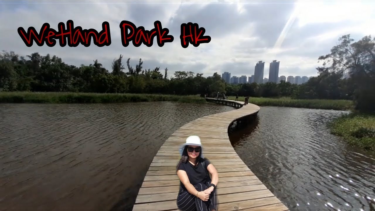 Wetland Park |Hk