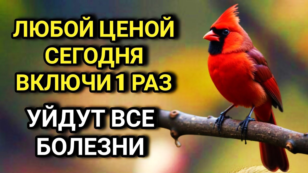 ☝️💖 ЛЮБОЙ ЦЕНОЙ ВКЛЮЧИ 1 РАЗ! УЙДУТ ВСЕ БОЛЕЗНИ! Сильнейшая молитва об исцелении  ✨🤲💯