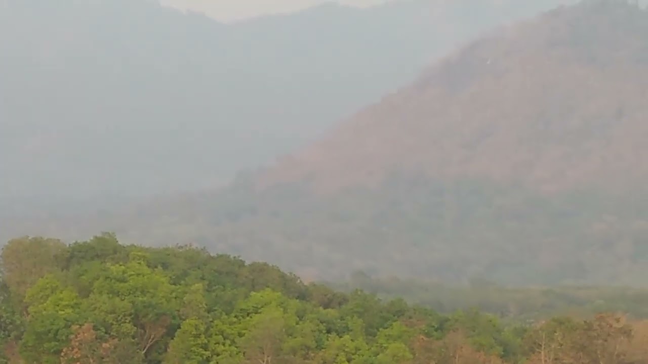 മനോഹര 🌹🌹കാഴ്ച കാണാം 