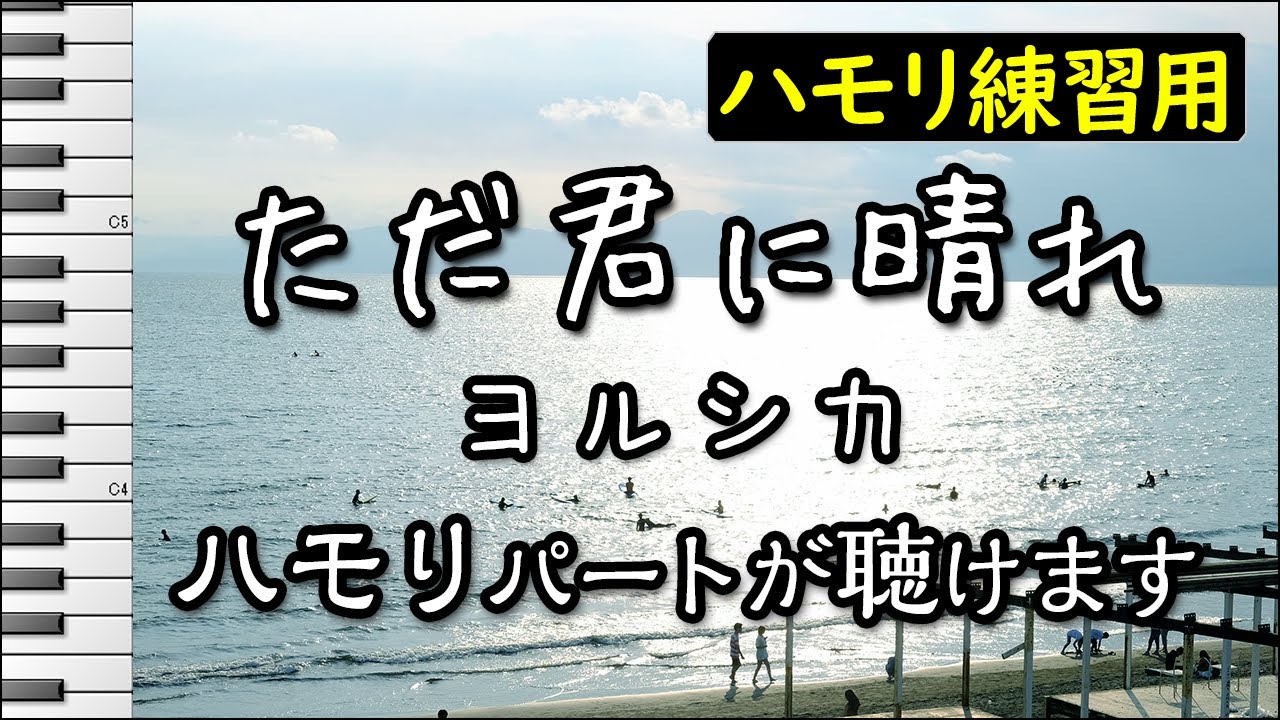 ただ君に晴れ/ヨルシカ(ハモリ練習用) 歌詞付き音程バー有り