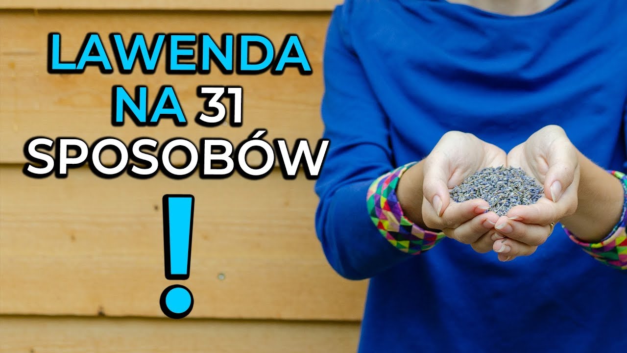 31 zastosowań lawendy, czyli kleszcze, migreny i desery!