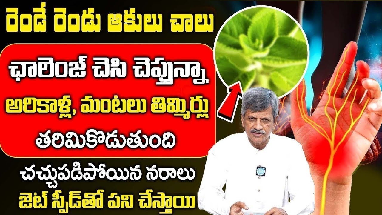 Nerve Weakness పోతుంది – ఈ రెండు ఆకులు తింటే శరీరం హుషారుగా మారుతుంది..! | iDream Doctors