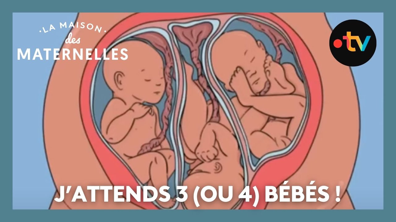 Grossesse multiple : comment &ccedil;a se passe ? - La Maison des maternelles #LMDM