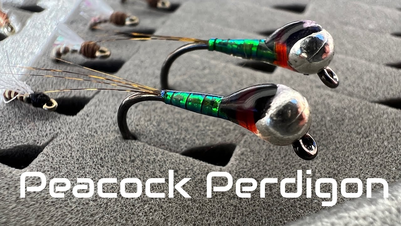 Peacock Perdigon Nymph: A Versatile and Effective Fly for All Waters - A Fly Tying Tutorial