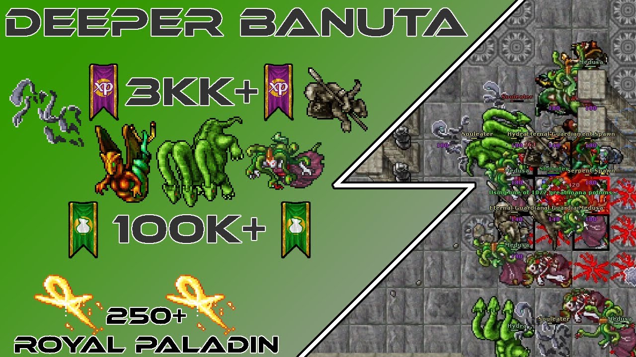 [Tibia Hunting Guide] 250+ RP - Deeper Banuta