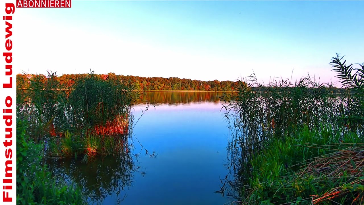 Entspannung zum zocken, arbeiten usw I Traditional Medieval Music No Copiwhrigt I Lizensfrei