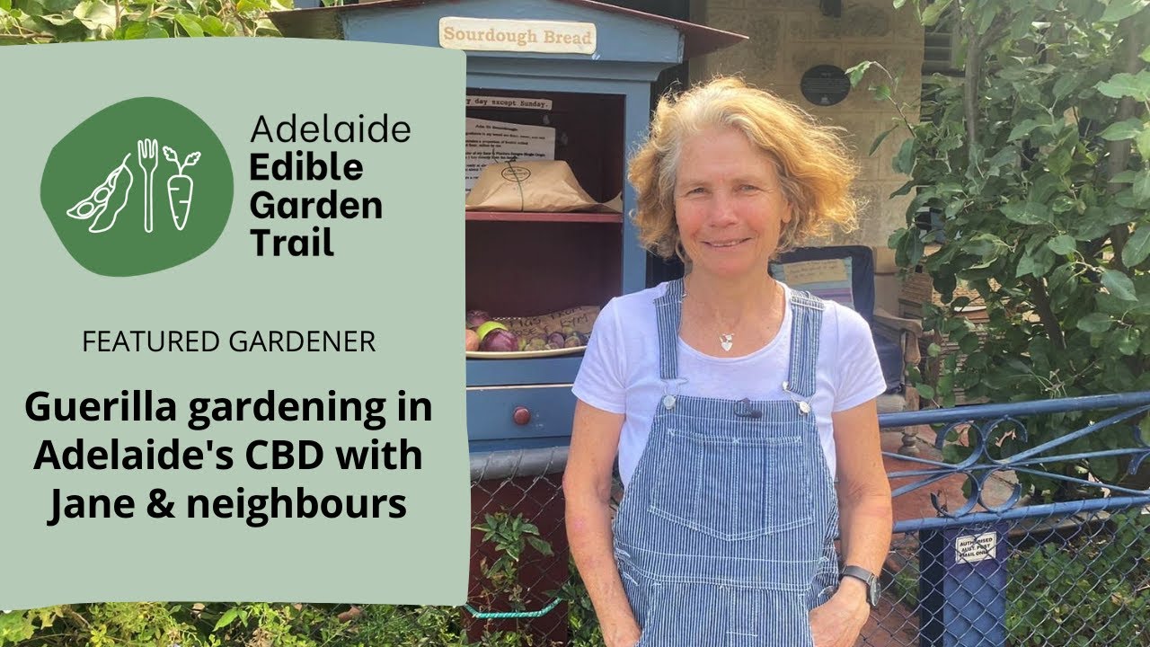 Guerrilla gardening at Jane's shared city patch | Adelaide Edible Garden Trail 2021