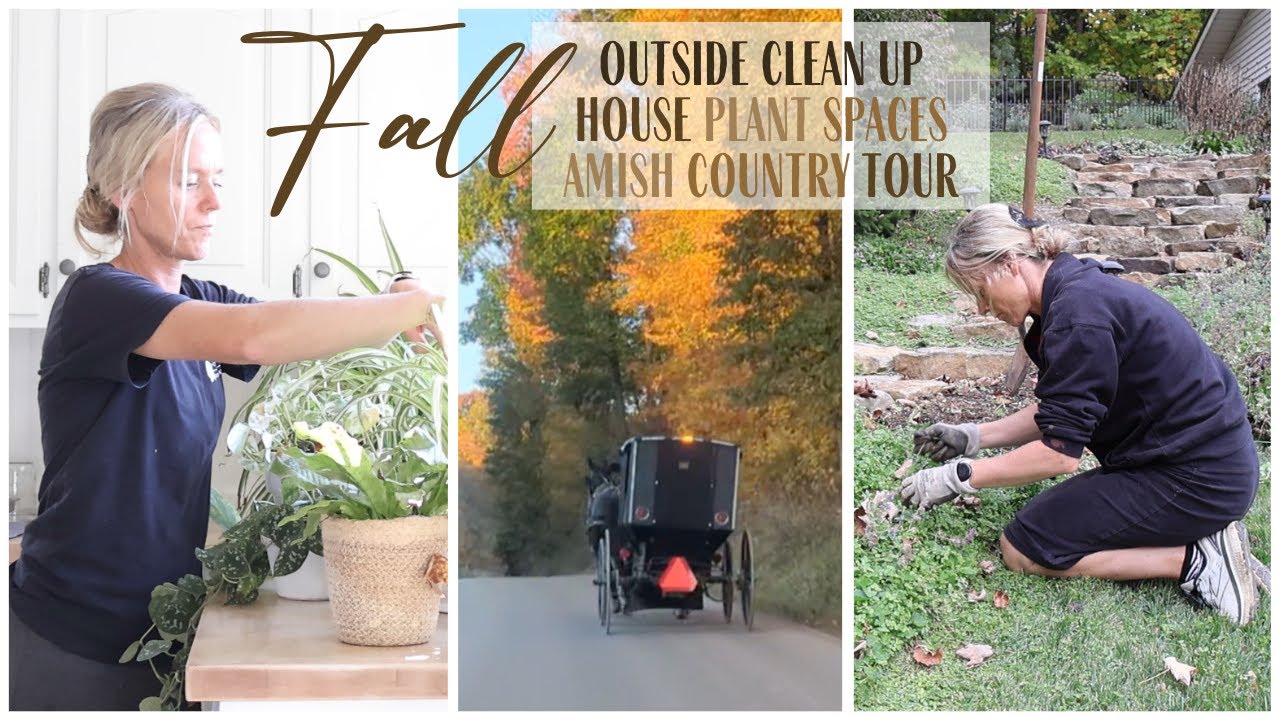 Fall Outside Cleanup ~ House Plant Spaces ~ Amish Country Tour ~ Fall in Amish Country