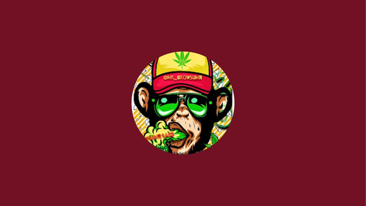 Growsumn Labs is live!