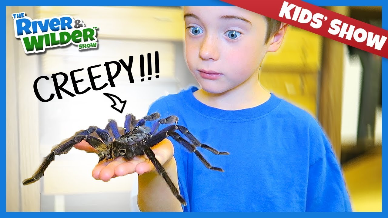 GIANT DEAD SPIDERS AND DINOSAUR FOSSILS!?!