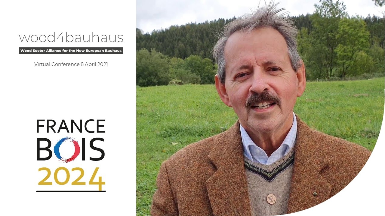 Green solutions in public buildings: the Olympic village 2024 in Paris - Georges Henri Florentin