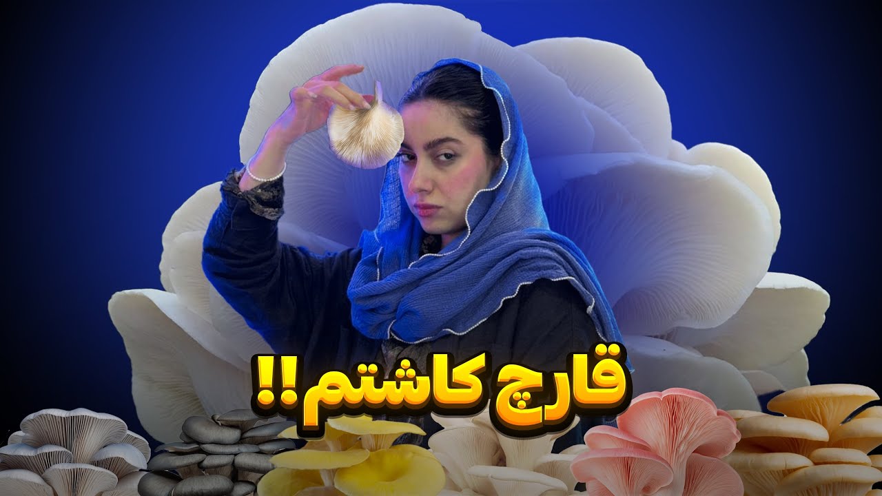 از کاشت تا برداشت قارچ صدفی . قارچا رو خوردیم🥵