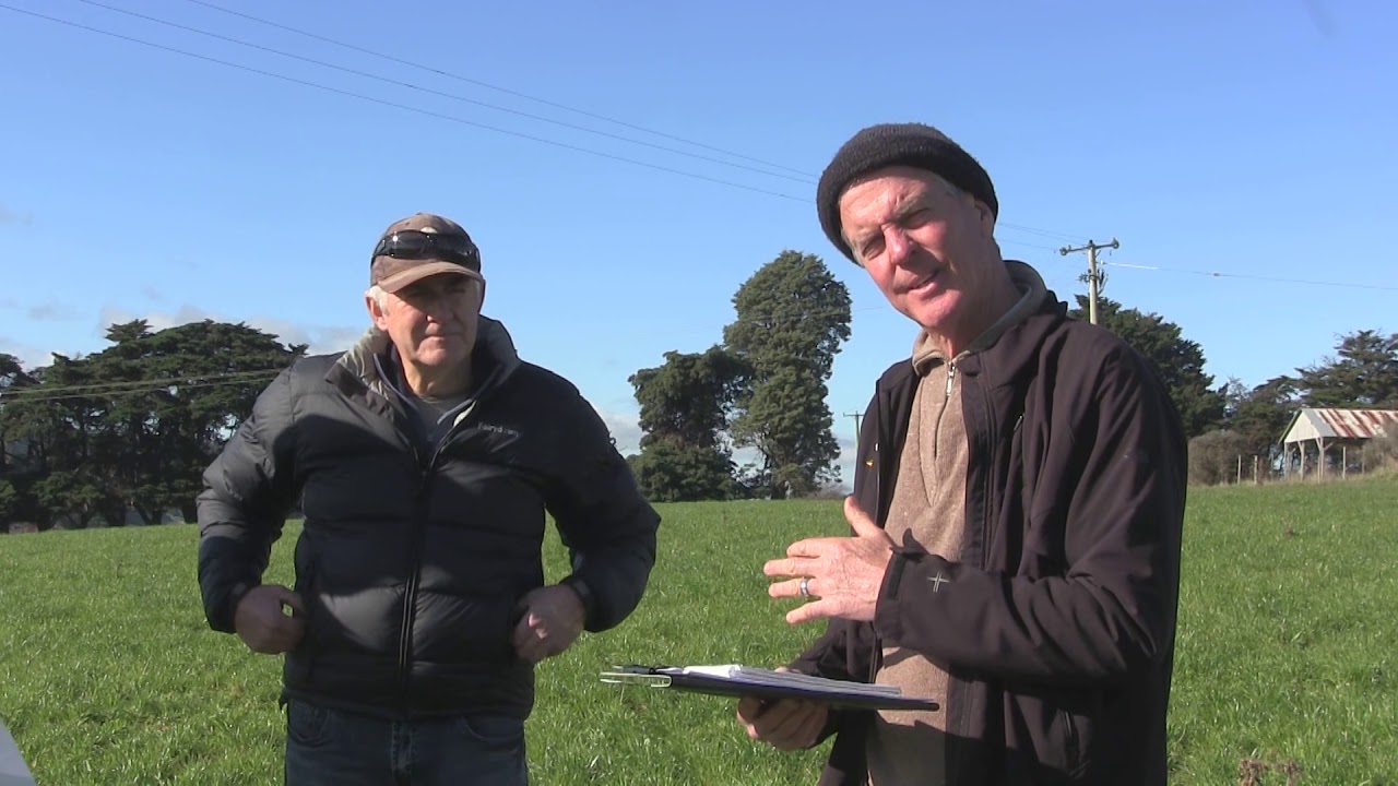 Diverse Pasture Trials to Increase Soil Carbon and Production | Video 2