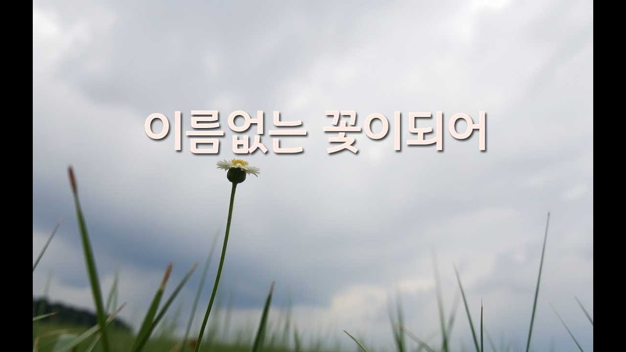 이름 없는 꽃 이 되어 | 이 밤이 지나면 찬 비 가 오는데 | 7080 그때 그 시절의 자작곡 | 겨울이가기전에