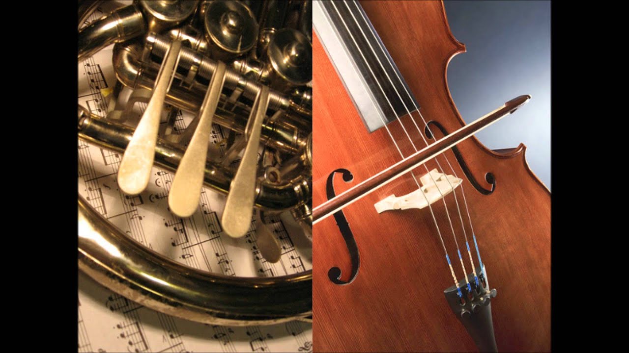 Cello / French Horn Duet Variations on Canon in D