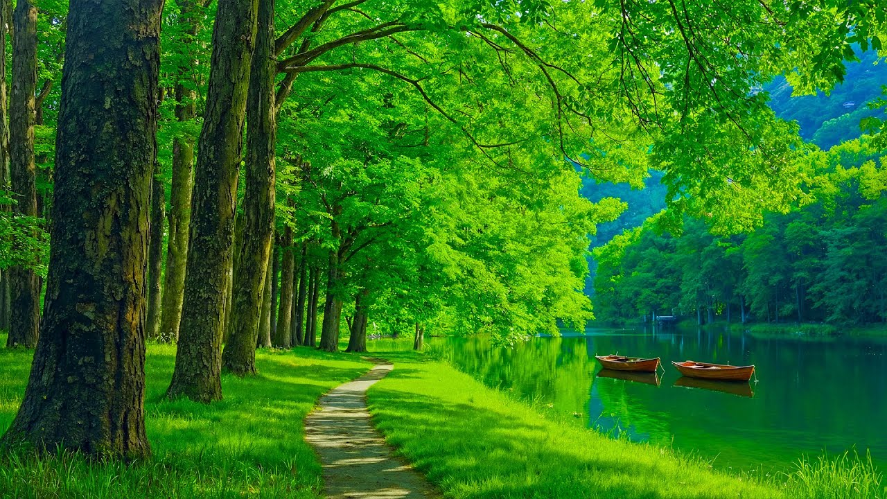 Great relaxing music for inner peace ~ heal heart and blood vessels, stop thinking too much