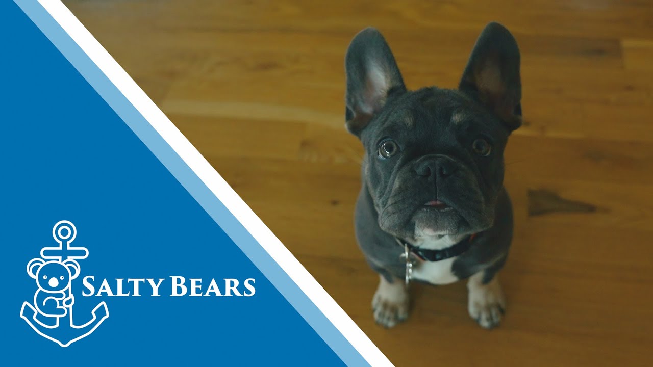 Salty Bears Team Announcement & Melvin!