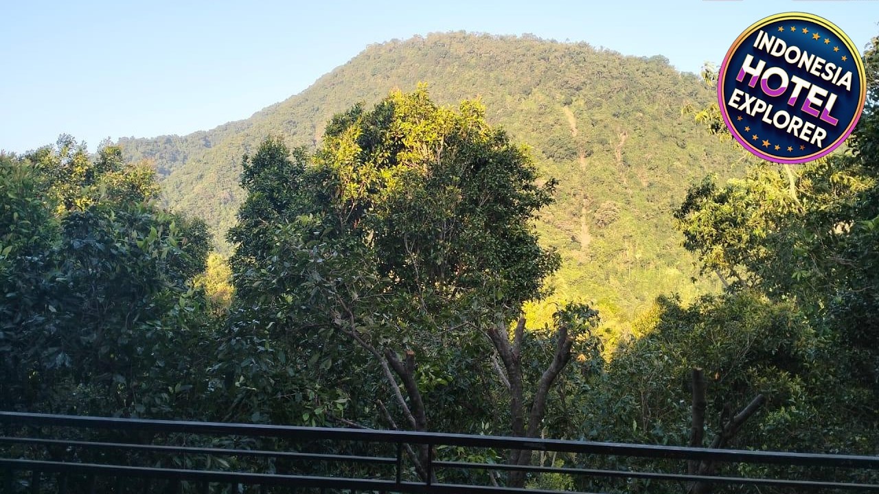 Sugi Gede Homestay | Bali, Indonesia | Hotel Review 🏨