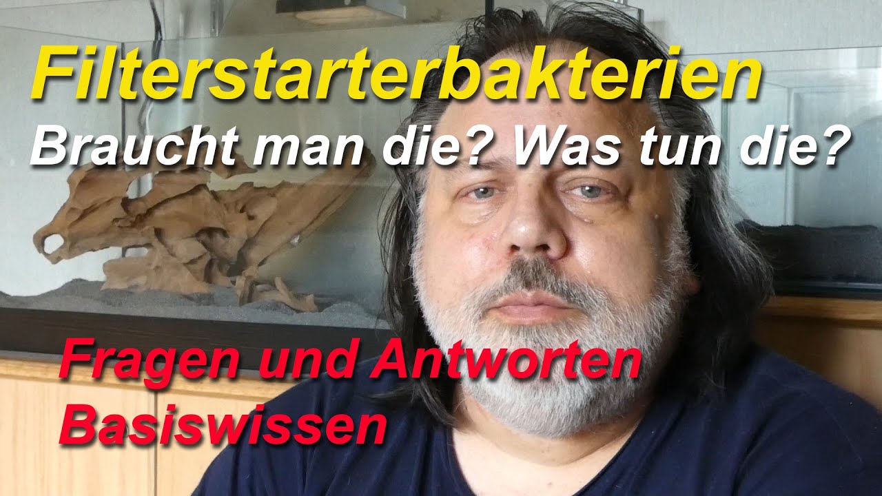 Die Einfahrzeit fordert Geduld. Sind Starterbakterien nur n&uuml;tzlich? Was tun Bakterienpr&auml;parate?