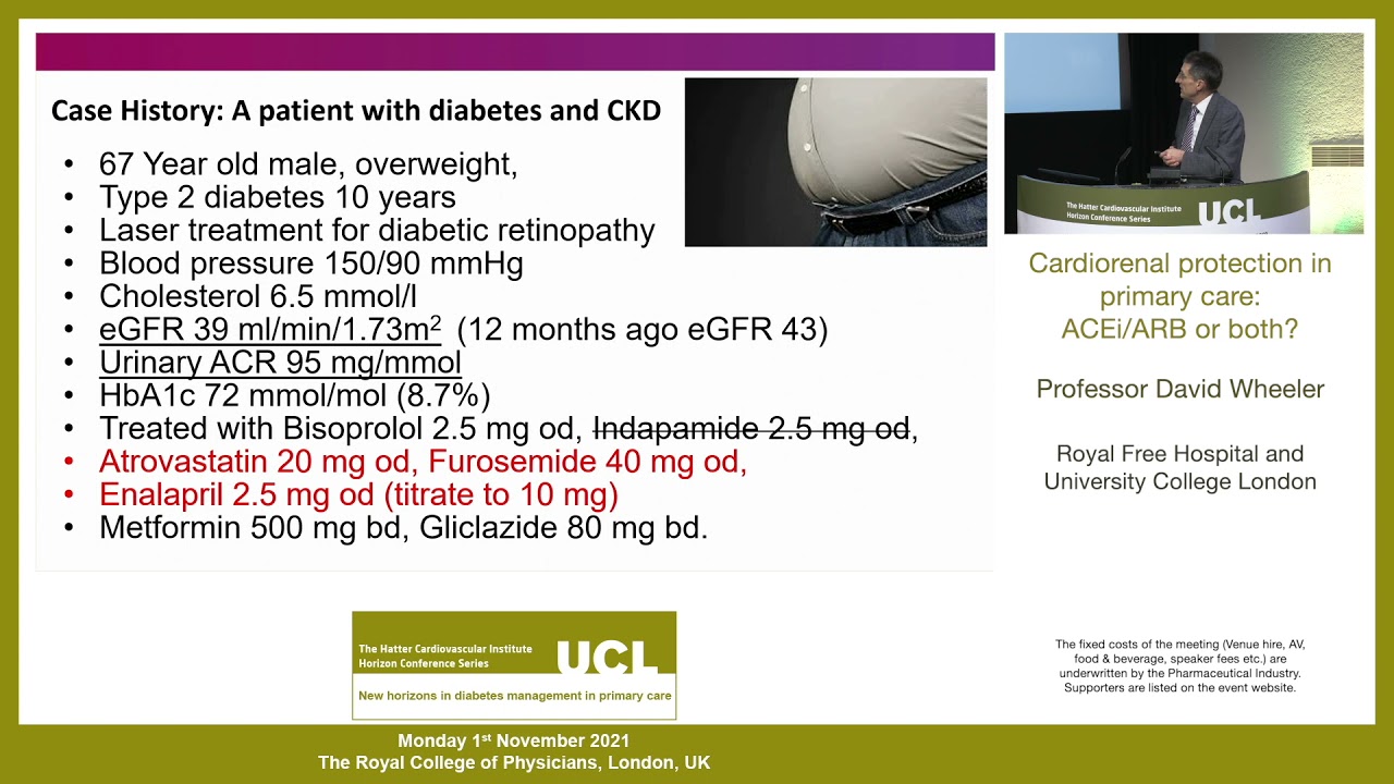 Professor David Wheeler - Cardiorenal protection in primary care: ACEi/ARB or both?