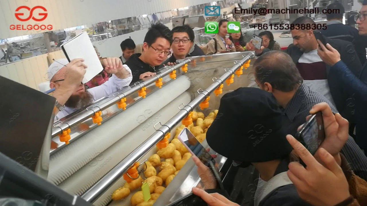 Brush Type Potato Washing Machine Commerical