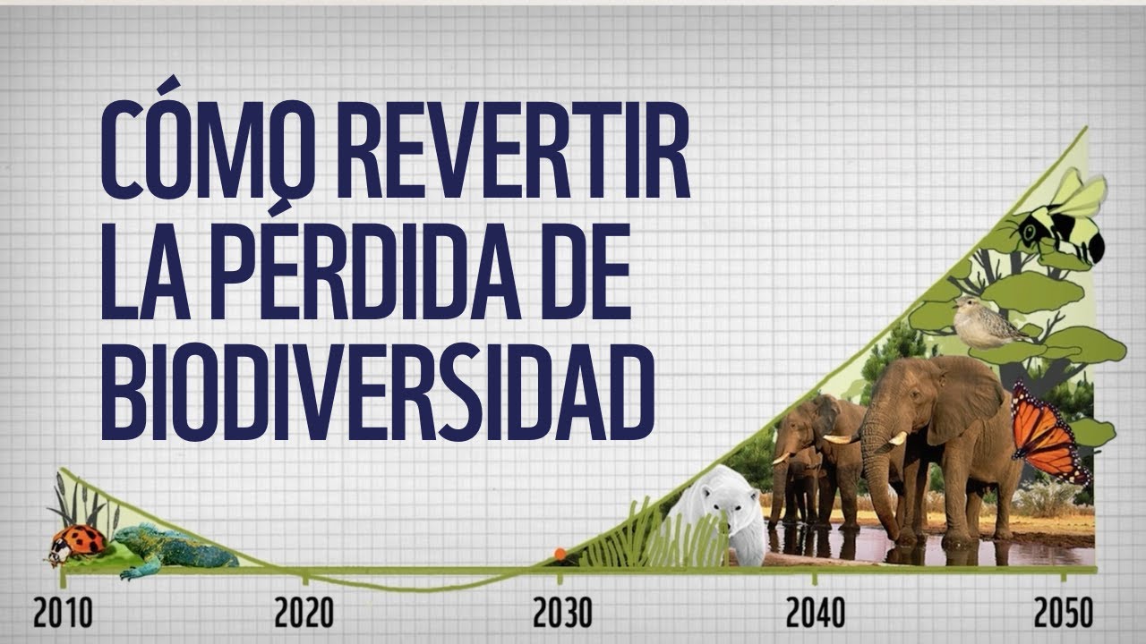 PÉRDIDA DE BIODIVERSIDAD: ¿CÓMO PODEMOS REVERTIRLA?