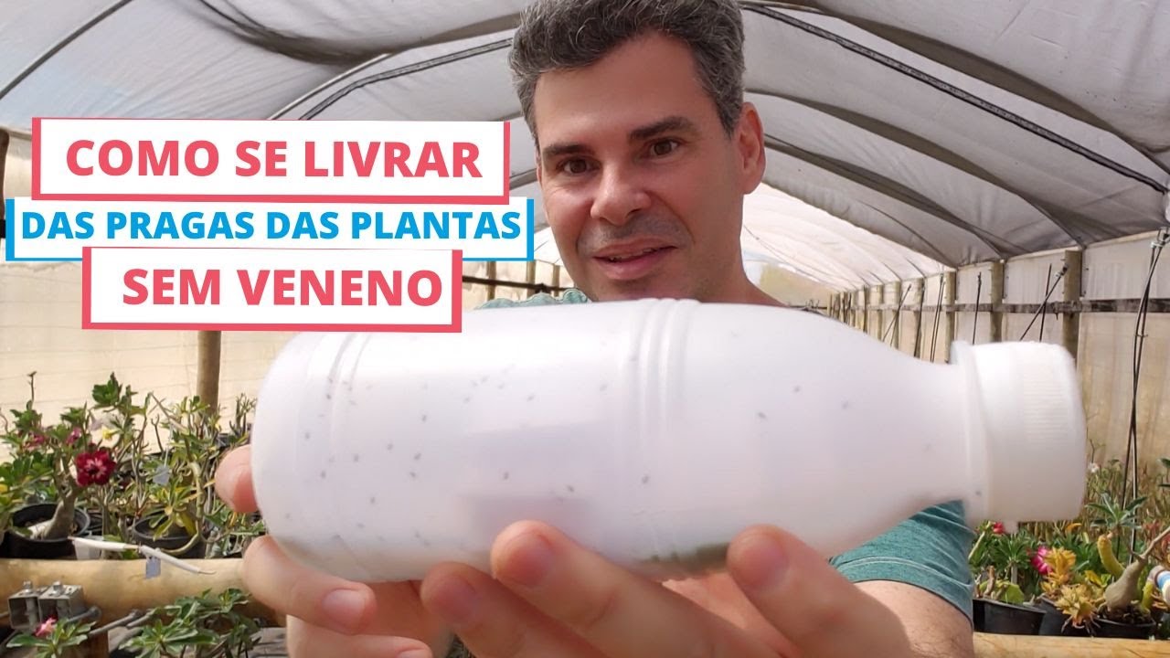 Acabe com pragas sem veneno de forma natural e saudável - Controle Biológico