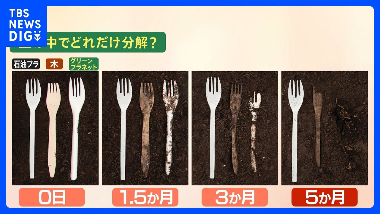 自然に還る？「プラスチック＝環境に悪い」を覆す新素材「グリーンプラネット」とは｜TBS NEWS DIG