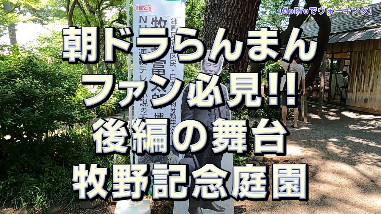 GoProでウォーキング　朝ドラ「らんまん」練馬区牧野記念庭園を歩く　ウォーキングログシリーズ第49段#GoPro ＃GoogleEarthPro #らんまん #牧野記念庭園 #高知県立牧野植物園