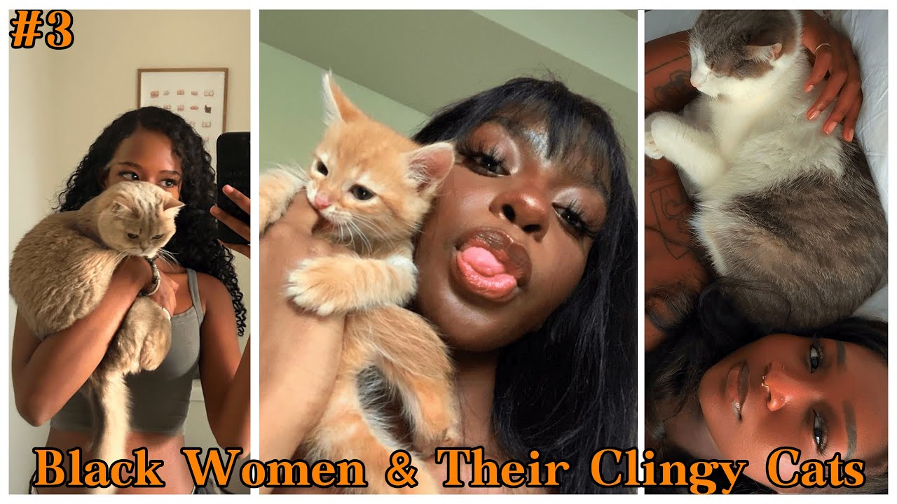 Black Women & Their Clingy Cats #3 | LUCKY UPDATE 🐾 | Funny TikTok Compilation 2026 #cat #cats