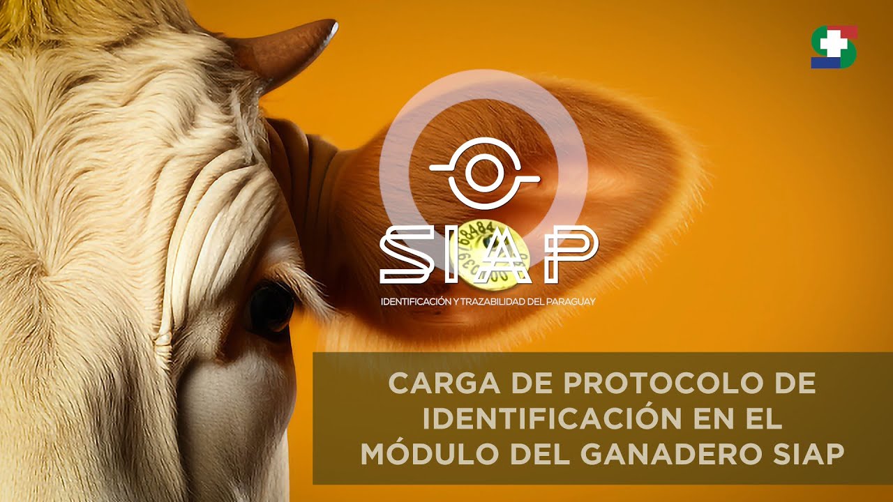 MODULO SIAP |  CARGA DEL PROTOCOLO DE IDENTIFICACIÓN