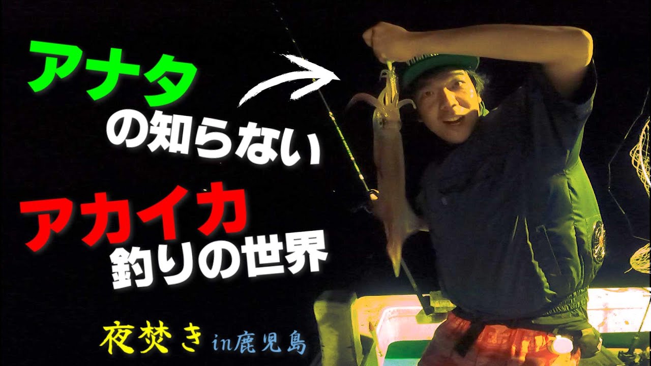 【夏の風物詩】夜焚きの光でアカイカを狙い撃ち！大漁の秘訣とは！？