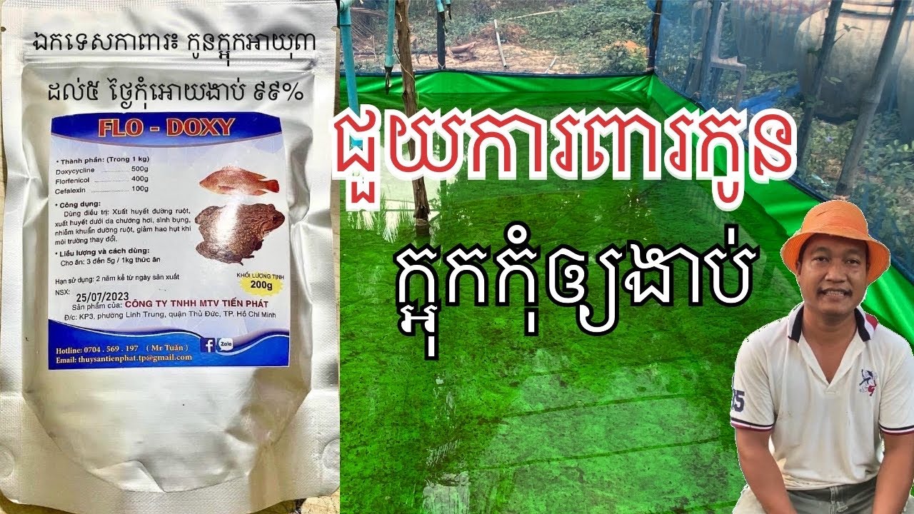 របៀបរលាយថ្នាំ​ Flo-  Doxy  ជំនួយកូនក្អុក
