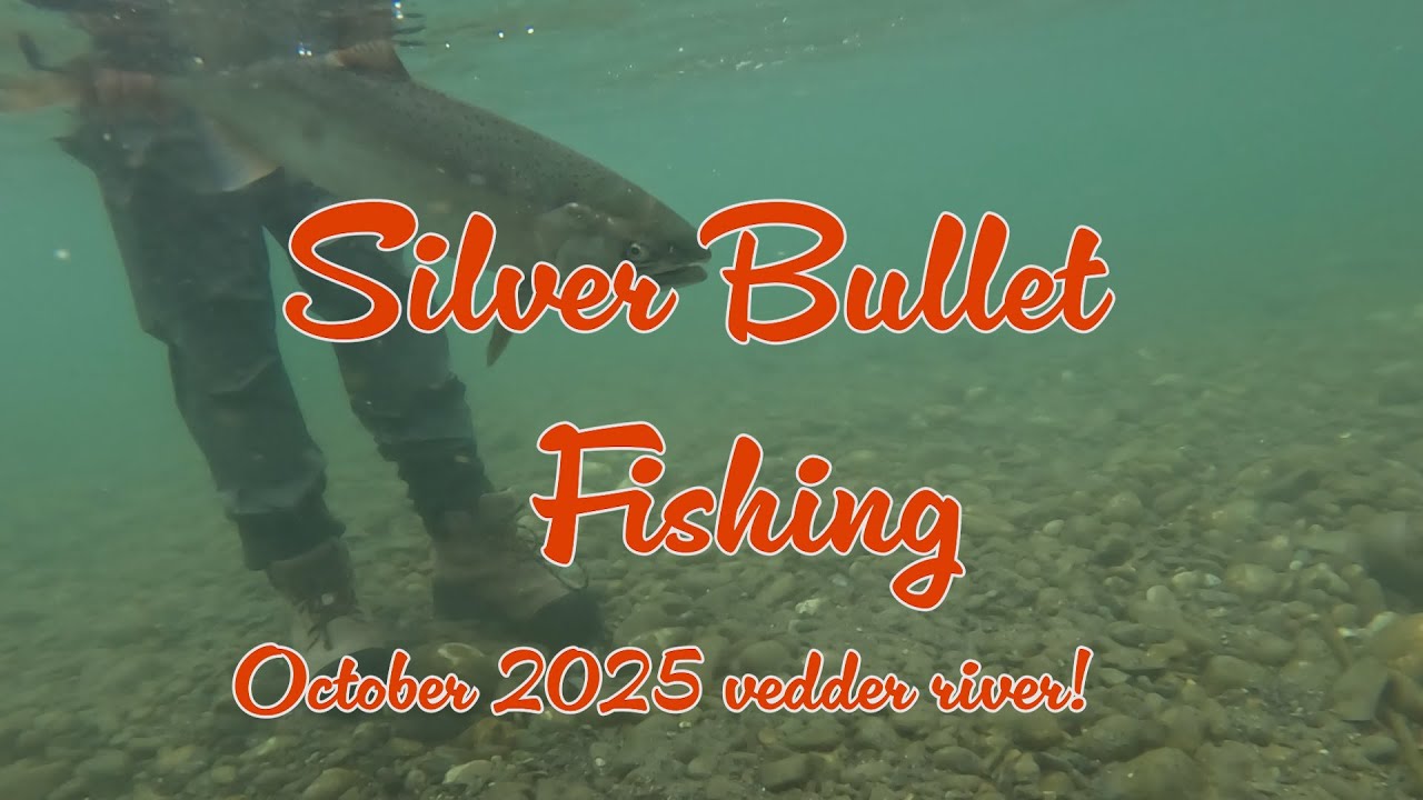 Vedder River Salmon Fishing October 2025!