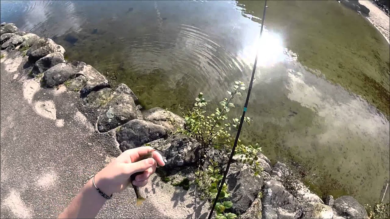 P&ecirc;che des carnassiers en ultra-l&eacute;ger sur le lac de G&eacute;rardmer