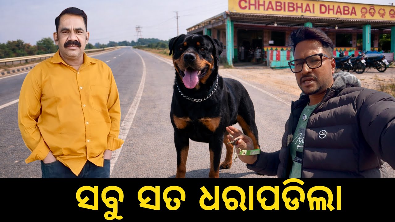 ସବୁ ସତ କହିଦେଲେ ଢାବା ମାଲିକ😡|| DOG  କେଉଁଠି ଛଡା  ଯାଇଥିଲା😭|| ସତ  ଧରାପଡିଲା ।😭😭