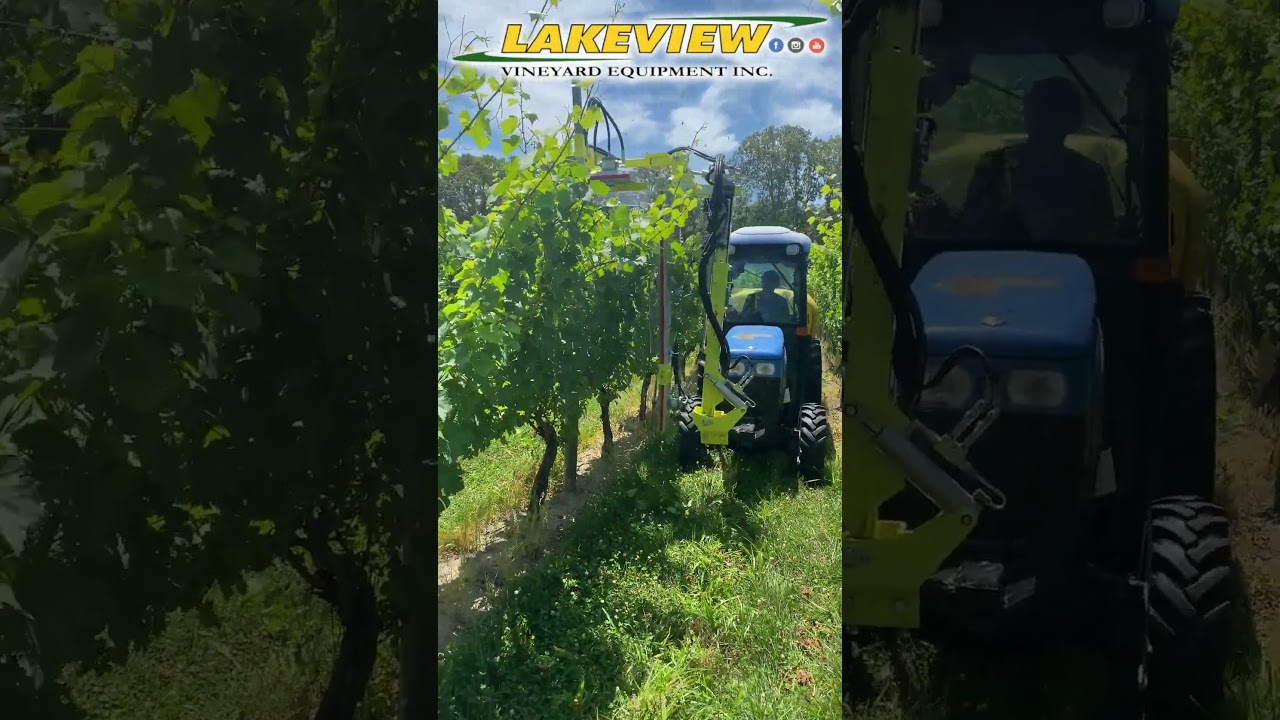 Vineyard Trimmer Working