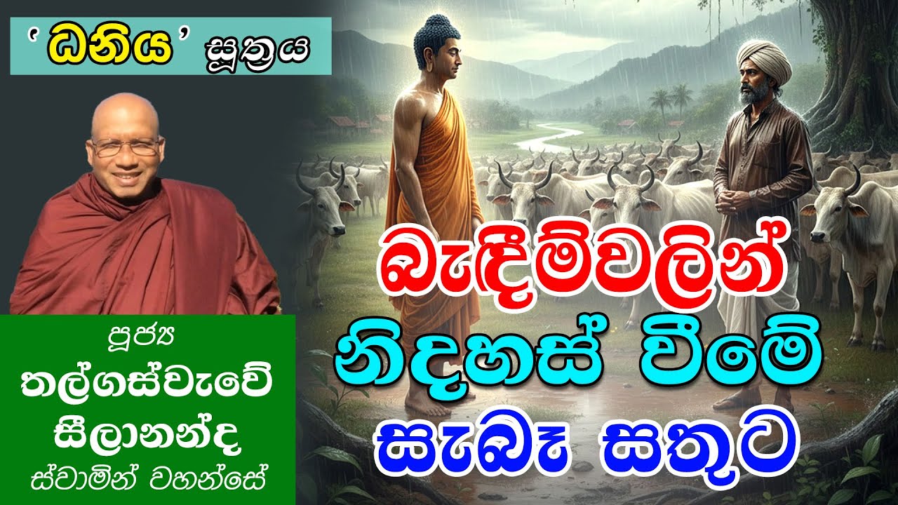 බැඳීම් වලින් නිදහස් වීමේ සැබෑ සතුට | ධනිය සූත්‍රය | Thalgaswewe Seelananda Himi