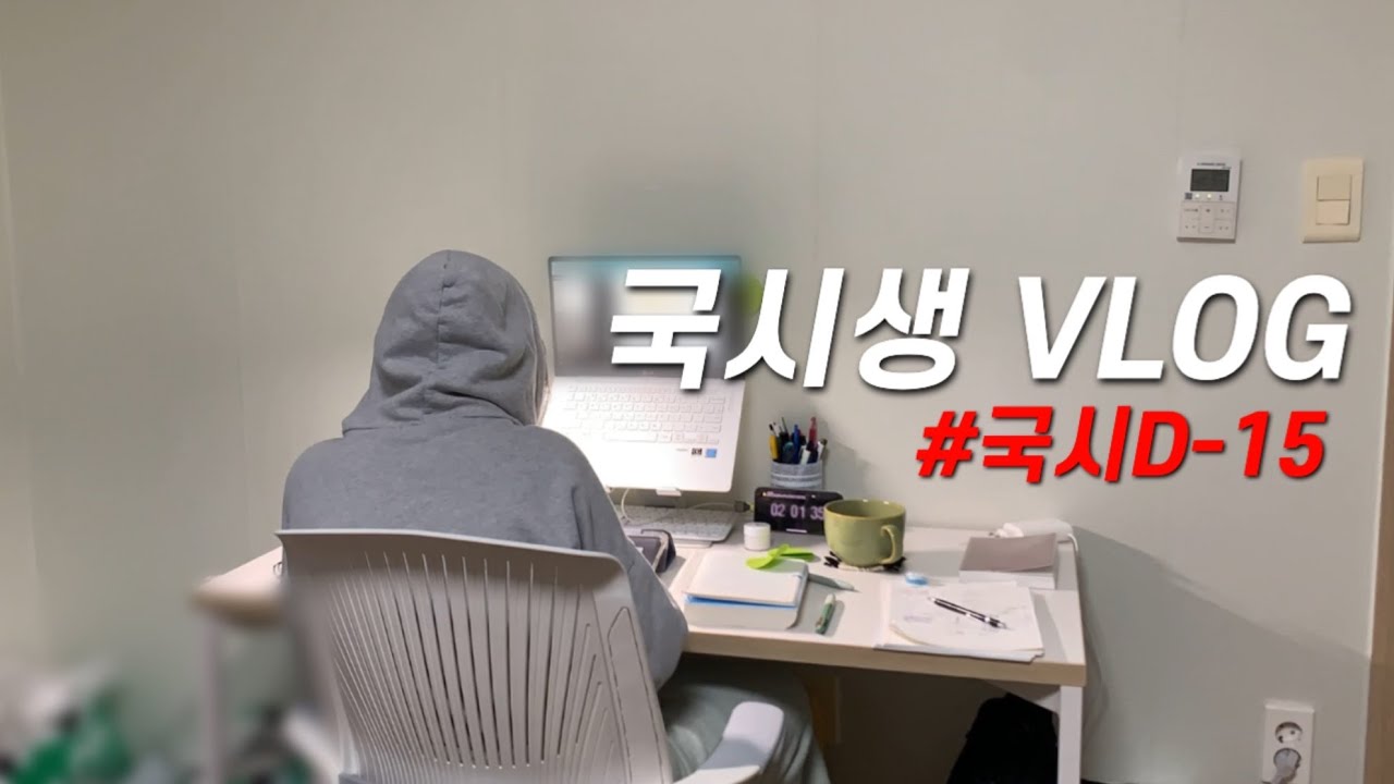 간호사 국시공부 vlog | 법규말장난오바, 면접제발그만, 말하는감자어게인