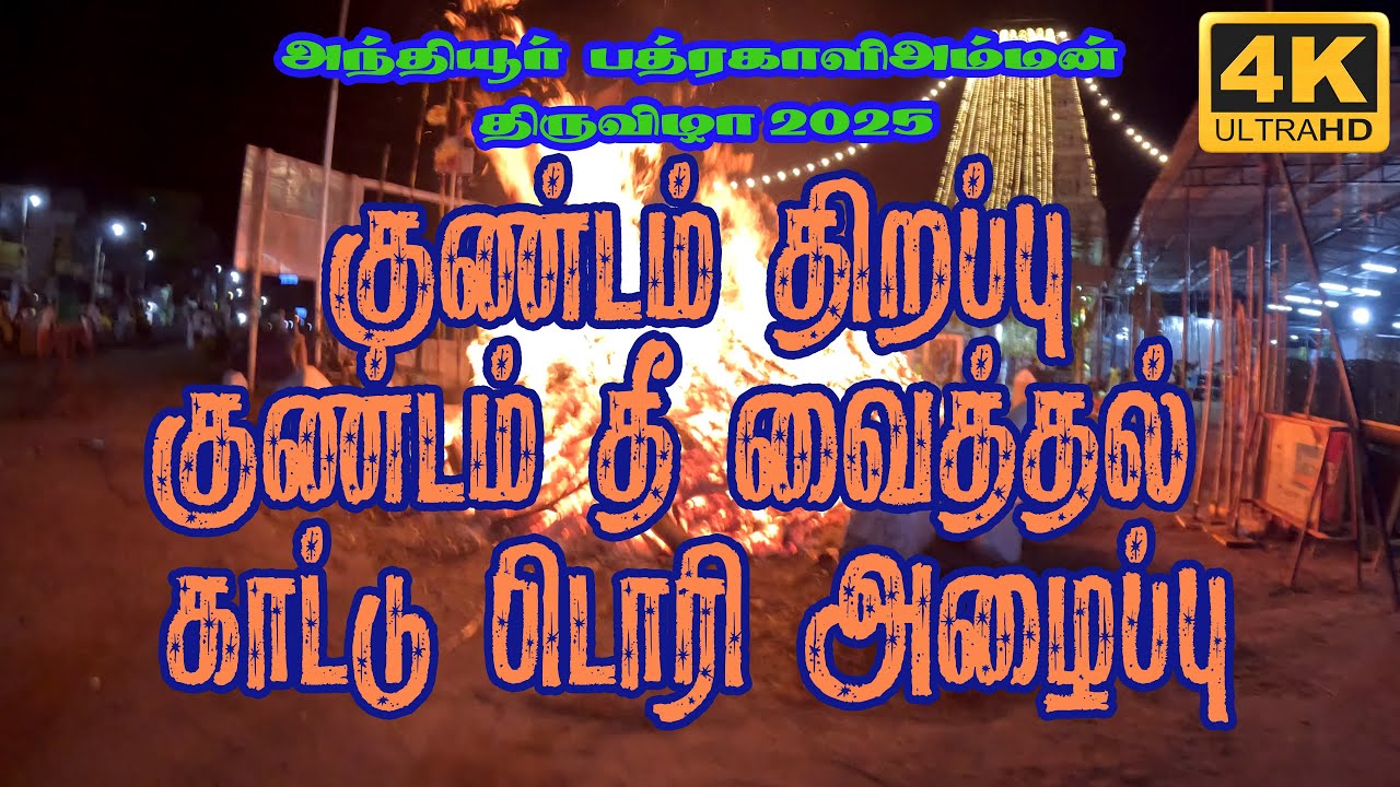 அந்தியூர் பத்ரகாளியம்மன் திருவிழா 2025 || குண்டம் திறப்பு,   தீ வைத்தல், காட்டுப்பிடாரி அழைப்பு