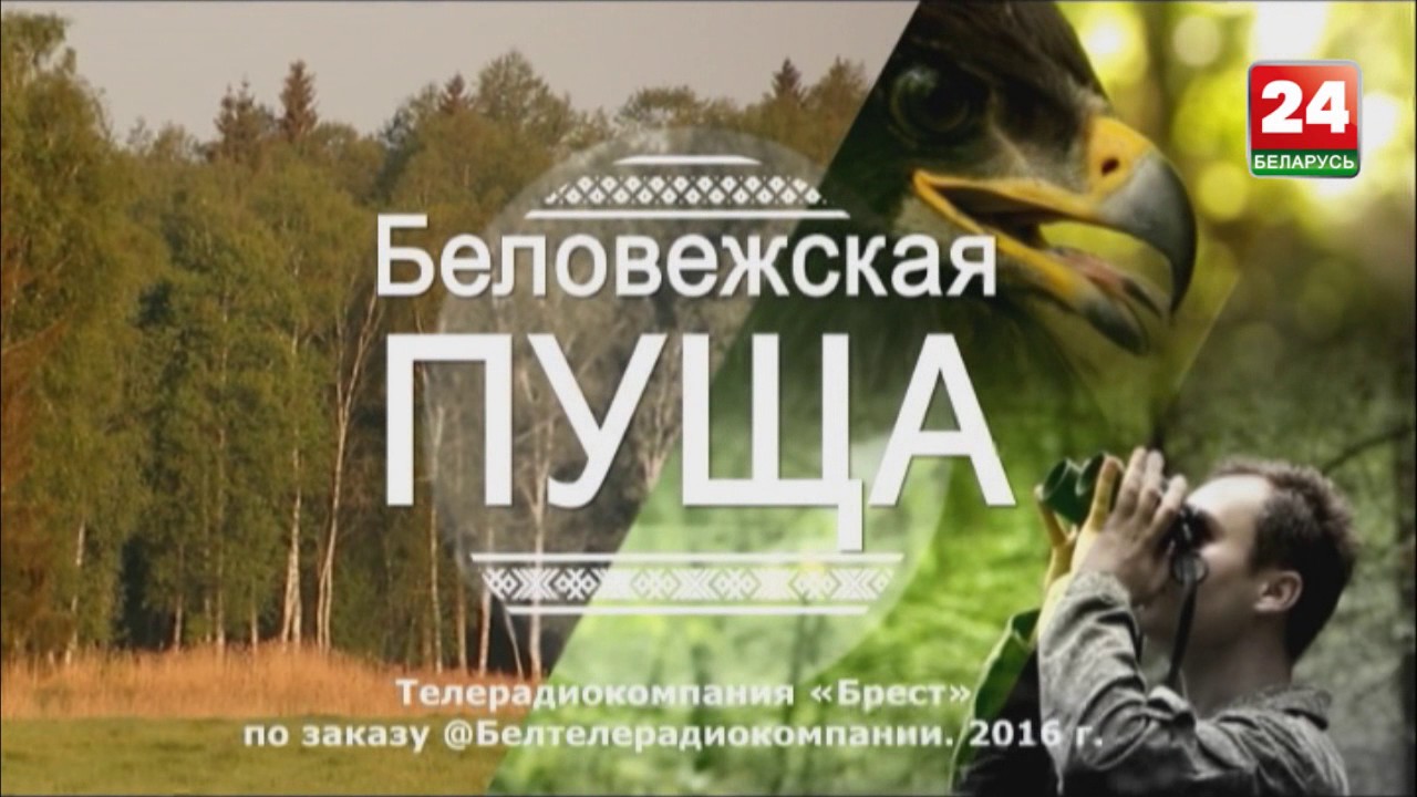 Беловежская пуща 7 Дуб Патриарх и другие
