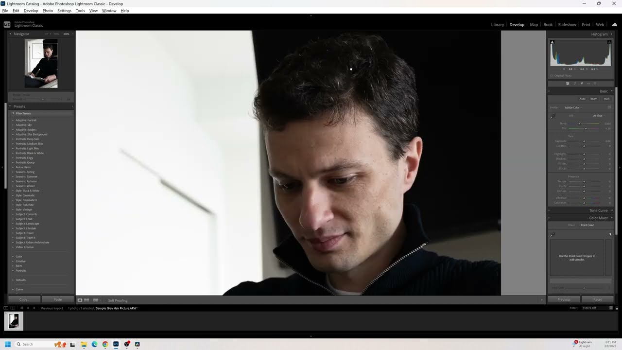 How to Remove Gray Hairs in Lightroom