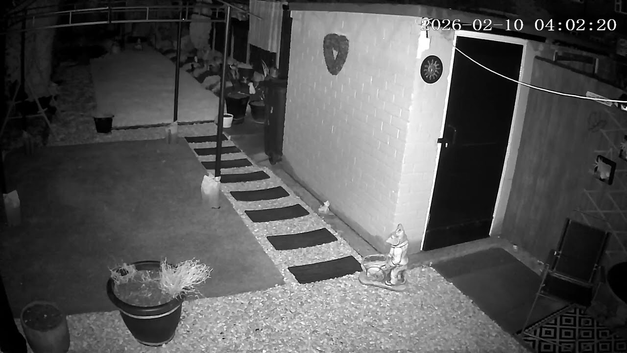 (10/2/2027) 4:00am HULL (Uk) BYC [0519]
