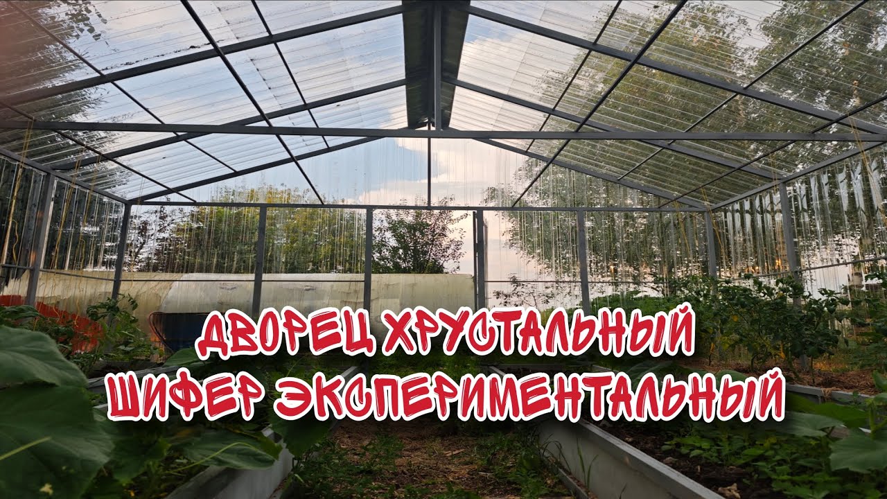 Прозрачный шифер. Эксперимент! Отзывы через год!