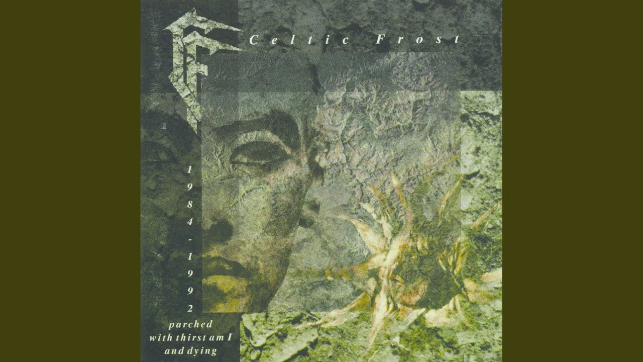 Wings of Solitude